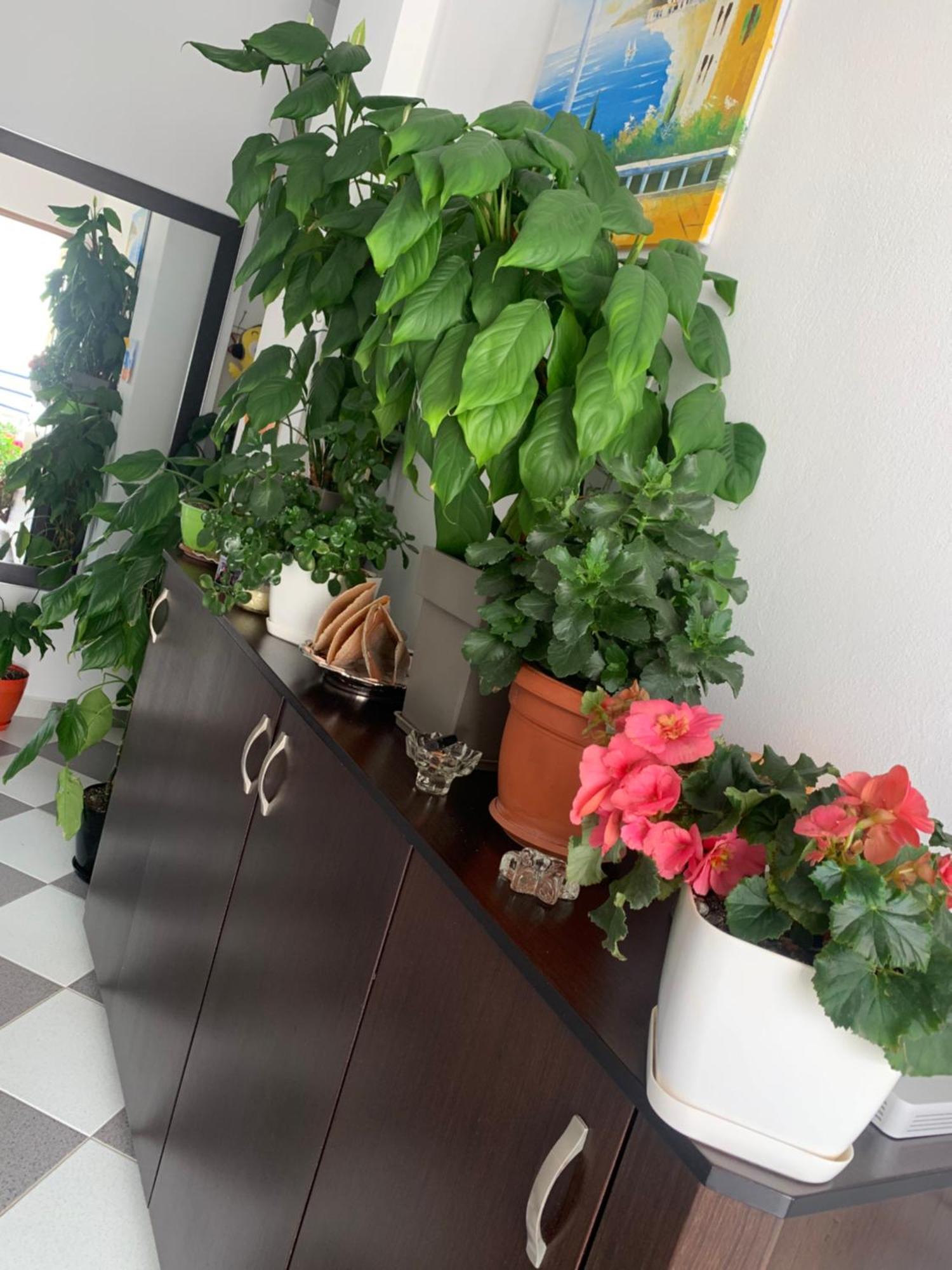 קסאמיל Guesthouse Jasmine מראה חיצוני תמונה